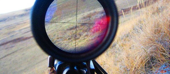 Tiha eliminacija nepoželjnih vođa  Rifle-scope-sight-crosshair