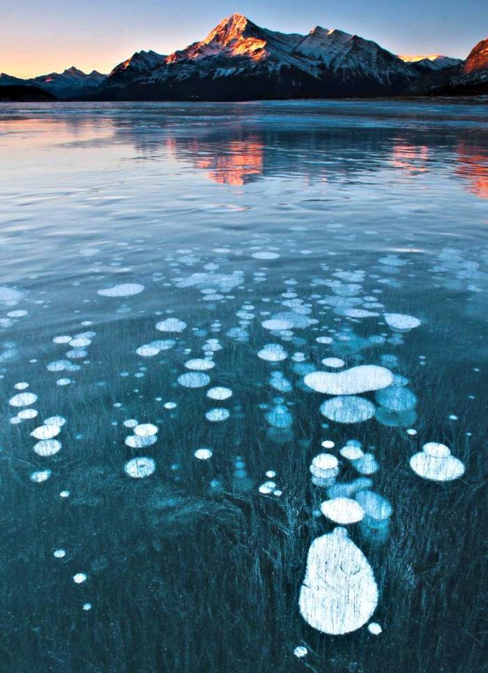 Zamrznuti zračni mjehuri jezera Abraham.