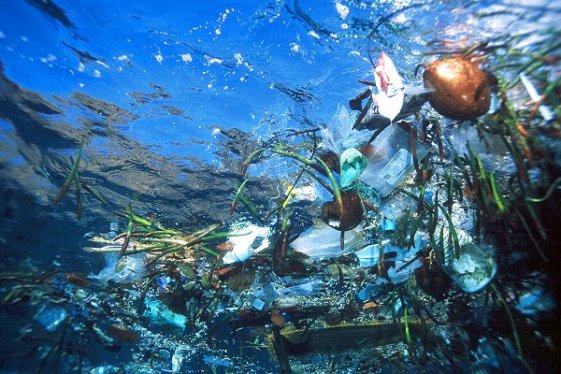 Naši oceani su postali odlagališta smeća, na tim odlagalištima najviše je plastike.