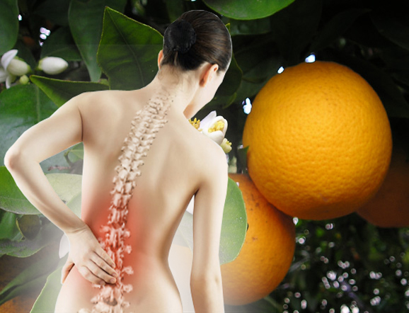 Jeste li znali koliko je vitamin C važan u održavanju zdravlja naših kostiju?