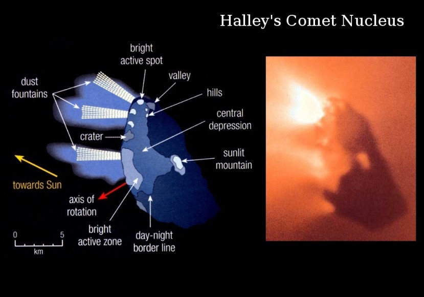 Nukleus Halleyeve komete snimljen uz pomoć Giotta tijekom 1986.